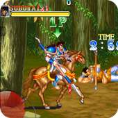 Arcade Classic : Warriors of Fate