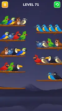 Bird Sort Color- Puzzle Master Screen Shot 7