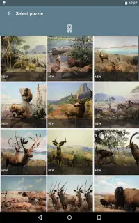 Puzzle: Animaux Screen Shot 12