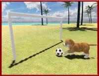 Cat Dog Pets Beach Stunts Sim Screen Shot 11