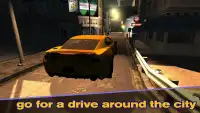 Real Racing Simulator Screen Shot 2