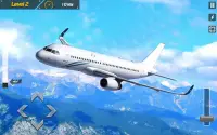 Airplane Flight Simulator Game Screen Shot 3