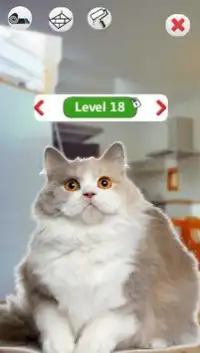 My Real Talking Cat Screen Shot 2