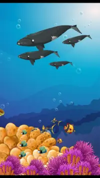 Bébé Requin Aquarium Créateur Screen Shot 4