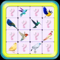Birds pairs match:Paradise pop memory game Screen Shot 0