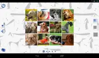 Jigsaw Puzzles Dogs Screen Shot 6