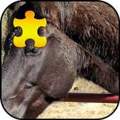 Black Horse Jigsaw Puzzles Game