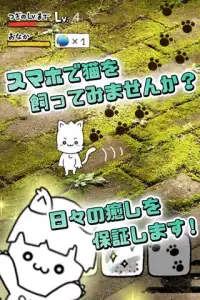 にゃんこ日和〜ほのぼの子猫育成ゲーム〜 Screen Shot 2