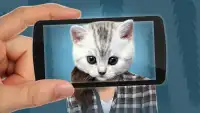 Face scanner: What cat 2 Screen Shot 2