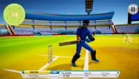 Cricket World Real Series Screen Shot 3