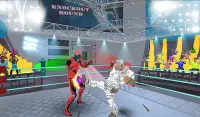 Real SuperHero Robot Fighting:Ring Boxing Battle Screen Shot 12