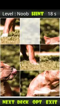 Pitbull Sliding Puzzle Screen Shot 1