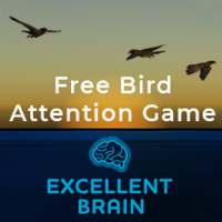 Excellent Brain Birds: Improve Your Attention