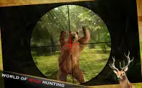 Safari Wild Animal Hunting: sniper 3D hunter game Screen Shot 2