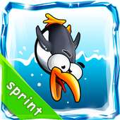 Diving Penguin Sprint
