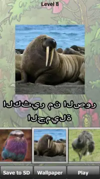 لغز الحيوانات البرية Screen Shot 4