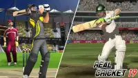 Real Cricket Championship 2019 Screen Shot 0