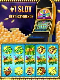 Crazy Monkey Slot Machine Screen Shot 1