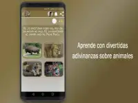 Adivinanzas de Animales- Quiz Juego Gratis Screen Shot 3