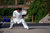 Learn Kung Fu Training 2020 Screen Shot 4