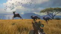 Wild Animal Hunting Game 3D Screen Shot 1