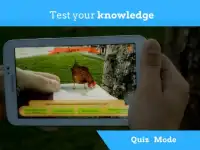 Animal Quiz Screen Shot 1