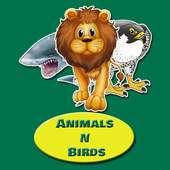 Animals and Birds Quiz