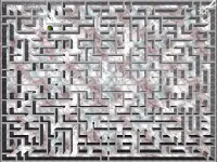 RndMaze - Maze Classic 3D FREE Screen Shot 14
