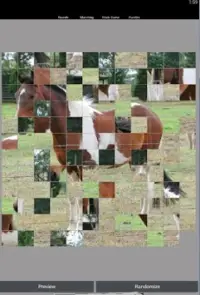 Horse Games Free Screen Shot 0