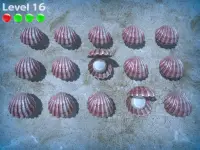 Sea Shell Game Screen Shot 4
