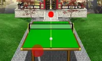 Zen Table Tennis Lite Screen Shot 3