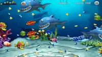 Feeding Frenzy - Eat Fish Screen Shot 6