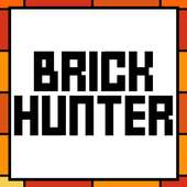 Brick Hunter