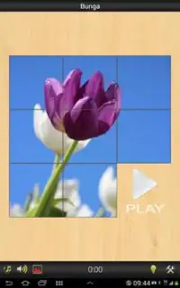 Best Flower game Screen Shot 4