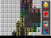 Color Minesweeper Screen Shot 8