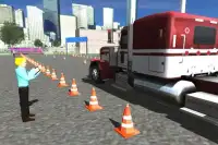 3D Truck Driving School Screen Shot 2