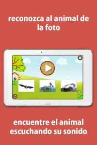 Sonidos de Animales para niños Screen Shot 6