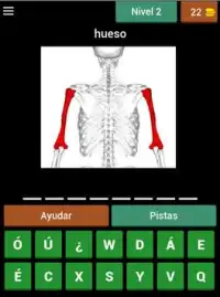 Quiz de Anatomía Screen Shot 13