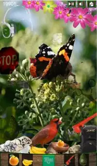 Hidden Object - Butterfly Screen Shot 0