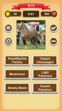 Horse Coat Colors Quiz Screen Shot 6