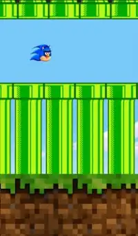 Floppy Sonic Bird Angry Screen Shot 2