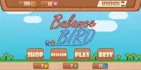 Balance Bird Screen Shot 1