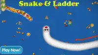 Worm Zone - Snake Ladder Screen Shot 0