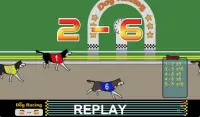 Dog Racing Screen Shot 11