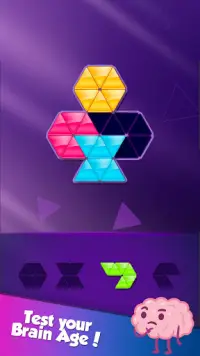 Block! Triangle Puzzle:Tangram Screen Shot 4