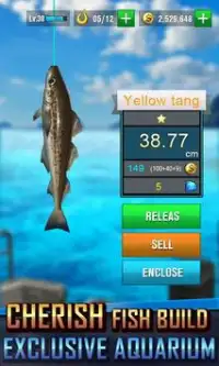 Fishing Hooked King 2019 Screen Shot 1
