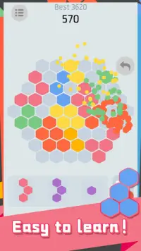Hex Puzzle - Super fun Screen Shot 7