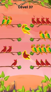 Bird color sort - Match puzzle Screen Shot 6