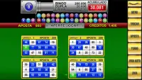 Pachinko King Bingo e Slots Screen Shot 1