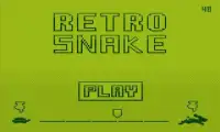 Retro Snake Screen Shot 0